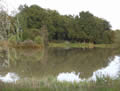 La Maniere
